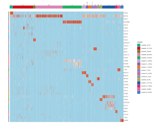 Summary of clustering outcomes stratified by sample group