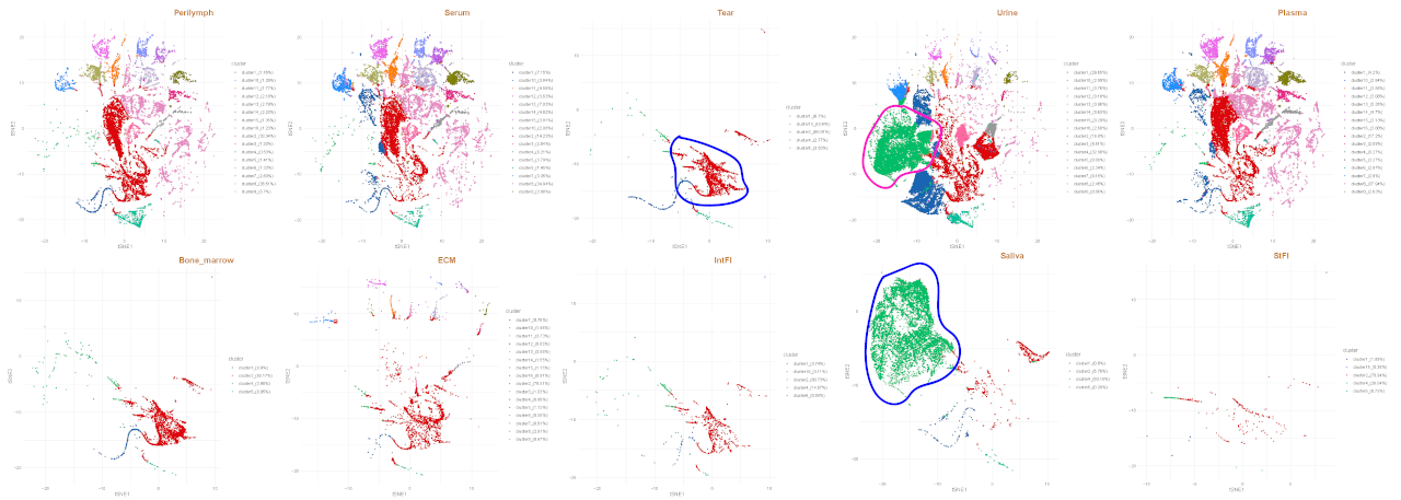 Overall clustering across all samples