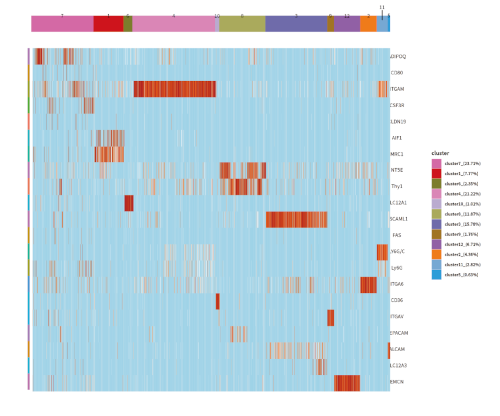 Summary of clustering outcomes stratified by sample group