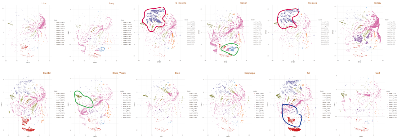 Overall clustering across all samples