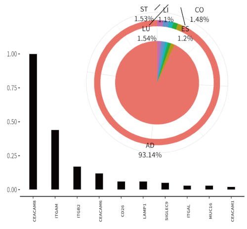 (3) Proportion of Cluster 1 across organs and its top protein expression.