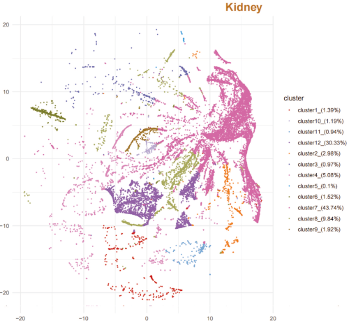 (1) SNE plot of the kidney groups across all organs.