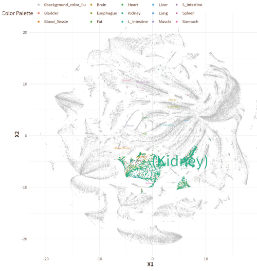 (2) Distribution of Cluster 1 across all organs.