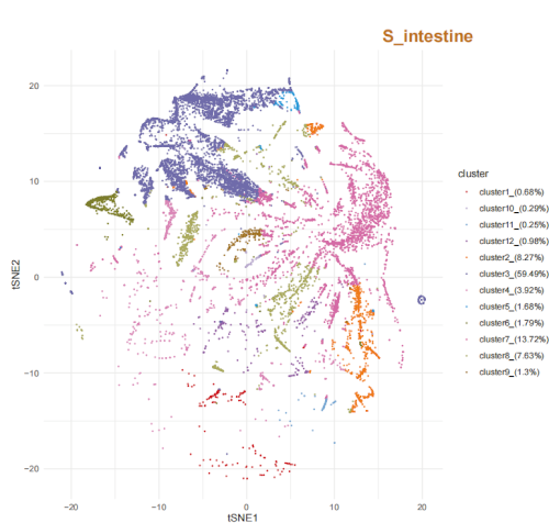 (1) SNE plot of the Intestine groups across all organs.
