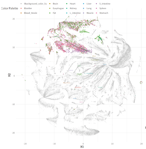 (2) Distribution of Cluster 3 across all organs.