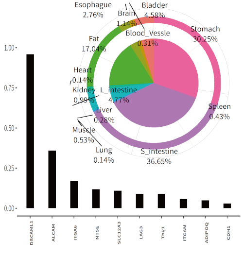 (3) Proportion of Cluster 3 across organs and its top protein expression.